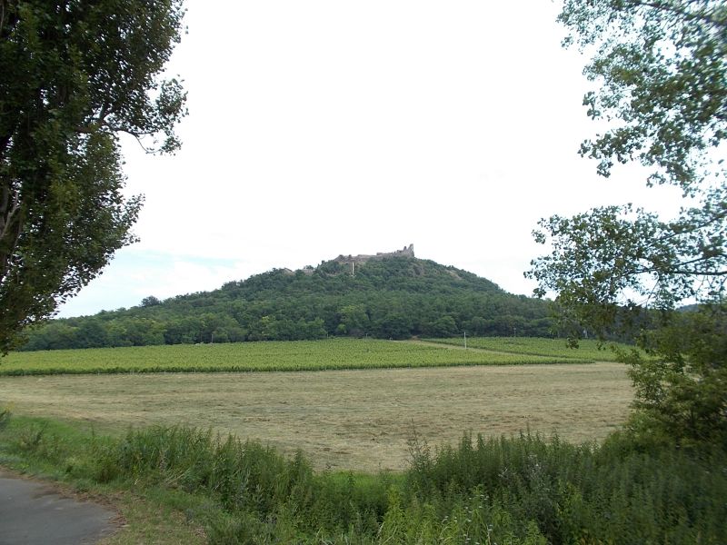 Cikkek képei: sob-2014-fettergyorgy-148.jpg Cikkek képei: sob-2014-fettergyorgy-148.jpg