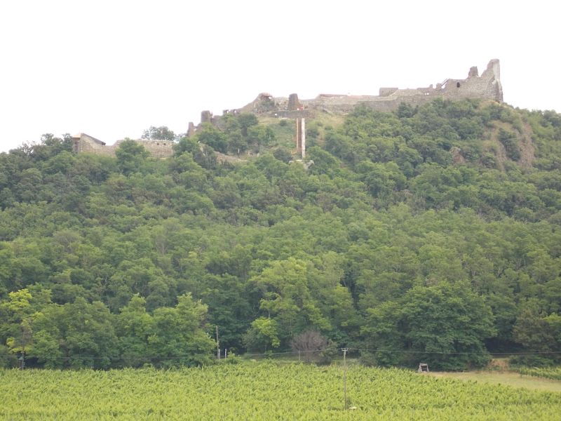Cikkek képei: sob-2014-fettergyorgy-149.jpg Cikkek képei: sob-2014-fettergyorgy-149.jpg