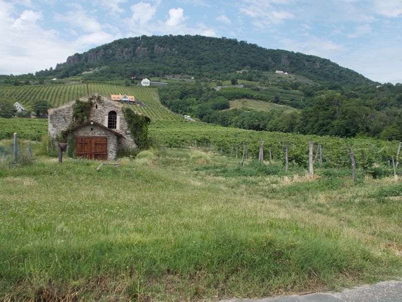 Cikkek képei: sob-2014-fettergyorgy-158.jpg Cikkek képei: sob-2014-fettergyorgy-158.jpg