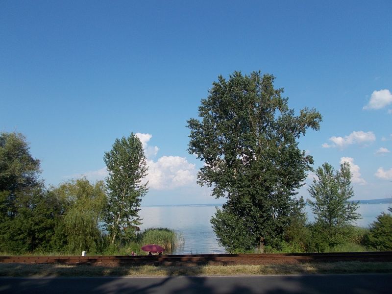 Cikkek képei: sob-2016-fettergyorgy-174.jpg Cikkek képei: sob-2016-fettergyorgy-174.jpg